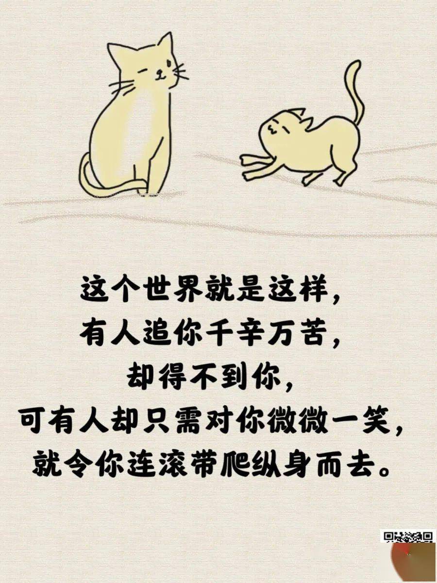 句子很毒,却都很现实.有时候我们需要的不是一碗鸡汤,而是一个巴掌!