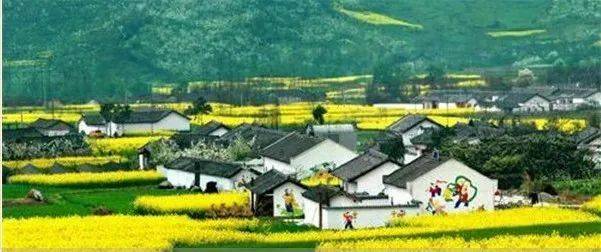 绵阳gdp2020_2020绵阳中考试卷(3)