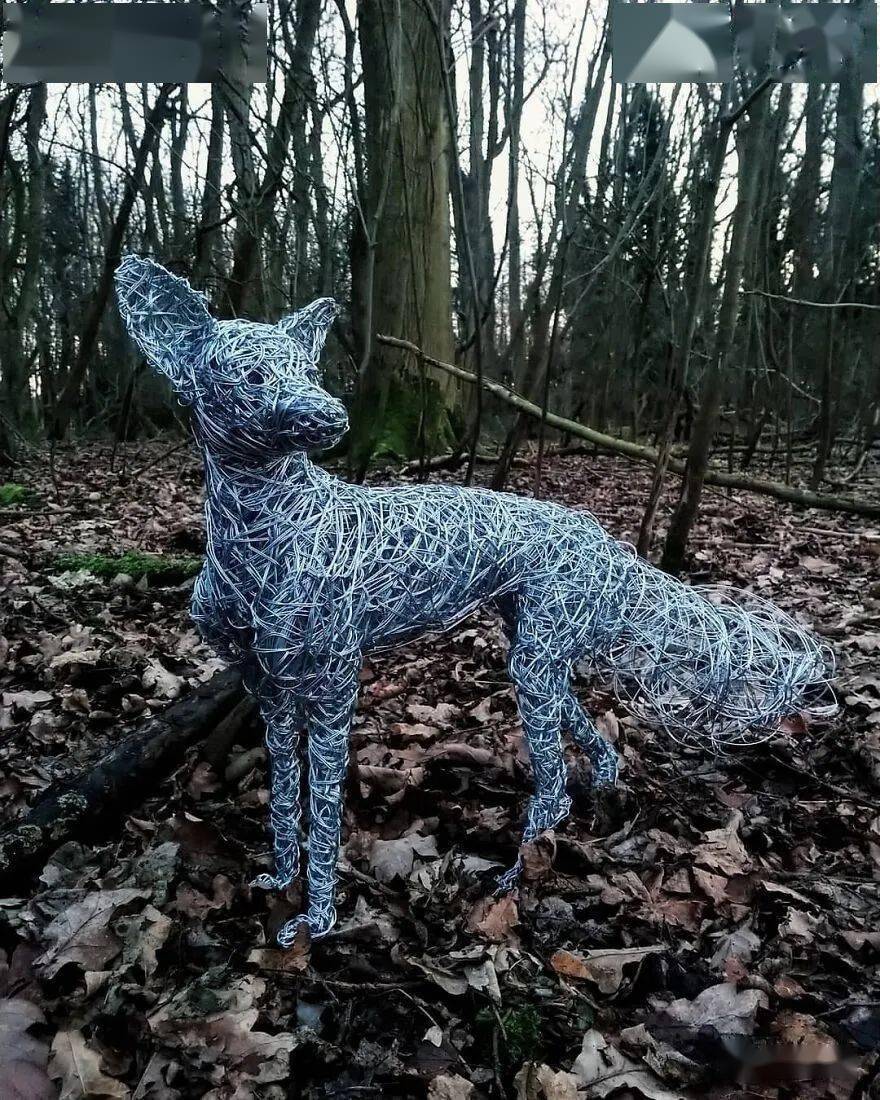 艺术家用镀锌钢丝制成的37种令人难以置信的动物雕塑