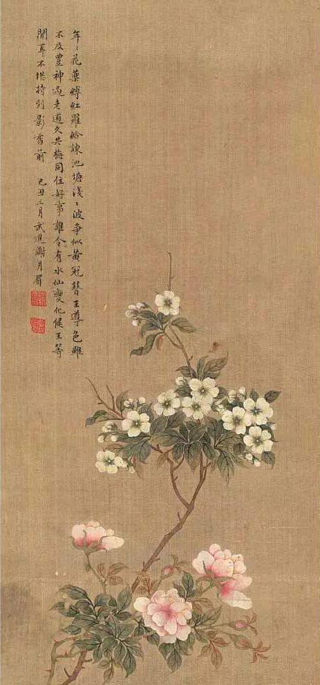 謝月眉   花鳥圖 她一生未嫁，凭借自学，名留中国现代花鸟画史_谢月眉