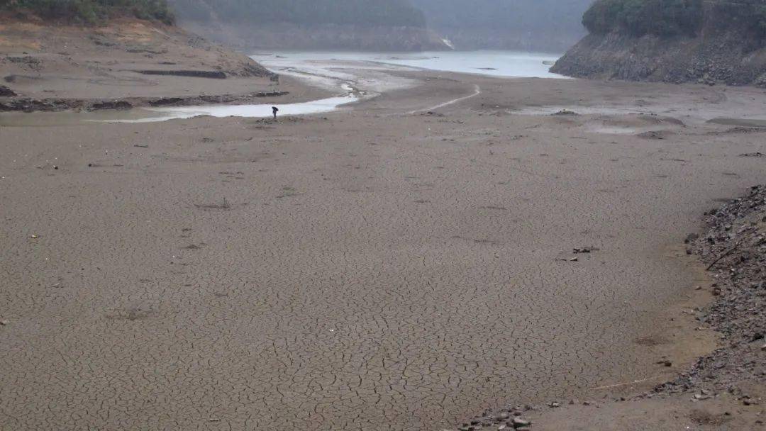 四明山皎口水库罕见低水位期自然观察