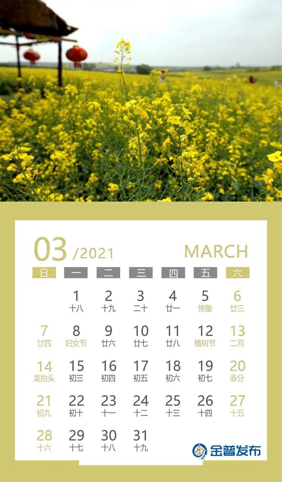 小布送您一份2021年新区专属日历请查收