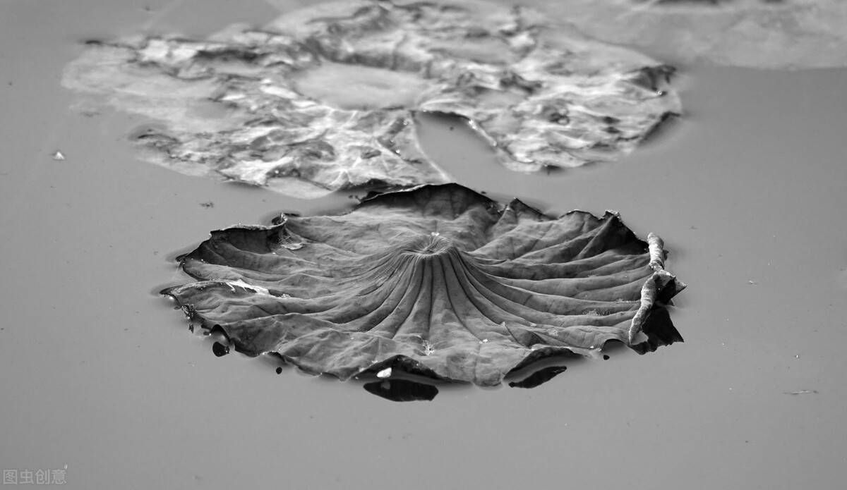 生命若像一池死水,还谈何幸福_许昌