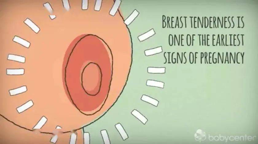 怀孕期间,你的乳房会发生这七种变化!