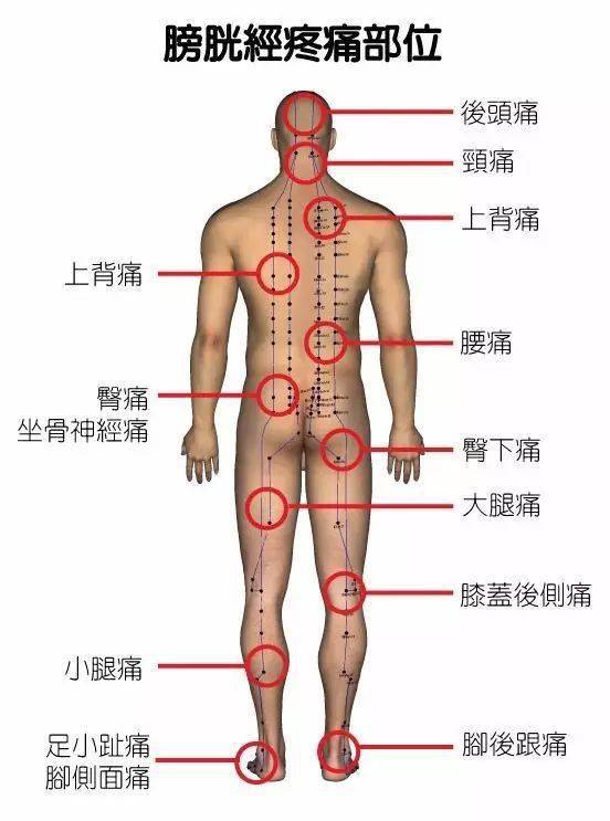 胳膊经络疼痛怎么办