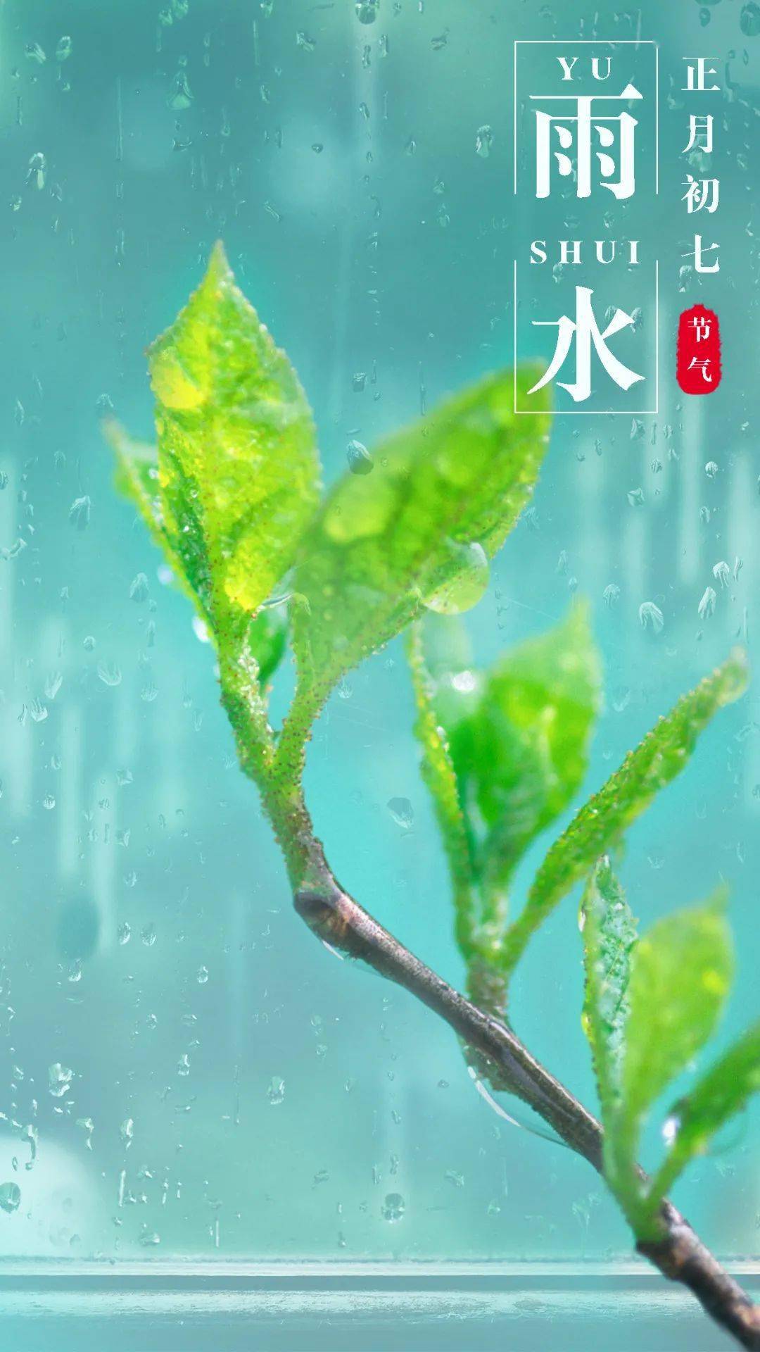 非遗二十四节气雨水丨随风潜入夜润物细无声