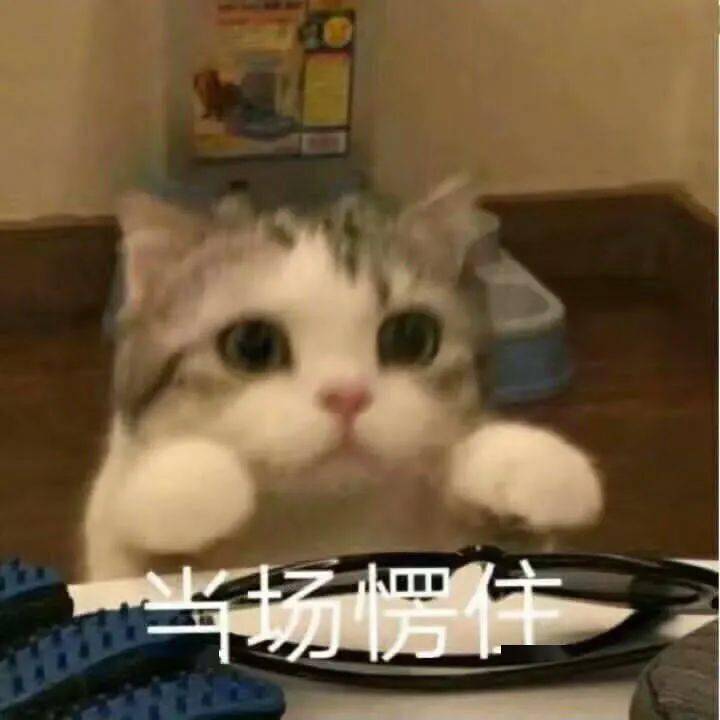 什么时候要钱最好 371669c6c49a4c14b8f657ab427bc59c.jpeg