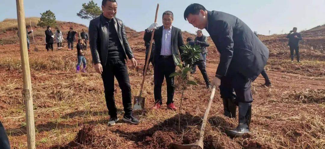 上午9點,臺嶺鄉組織全體幹部40餘人,在六合村千畝沃柑產業基地開展