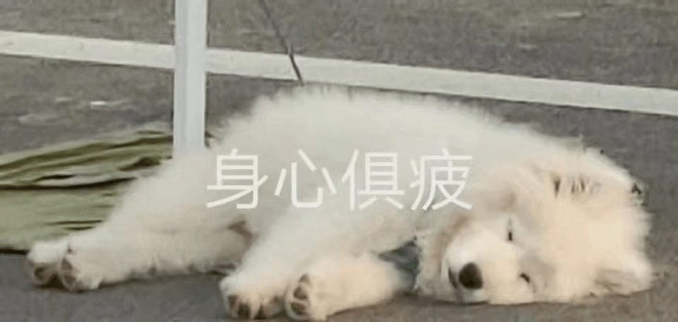 困累哪哪都不舒服救救我的写作业综合症