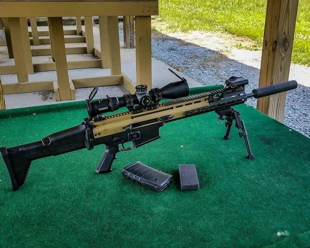 美国枪店AR系列步枪图片