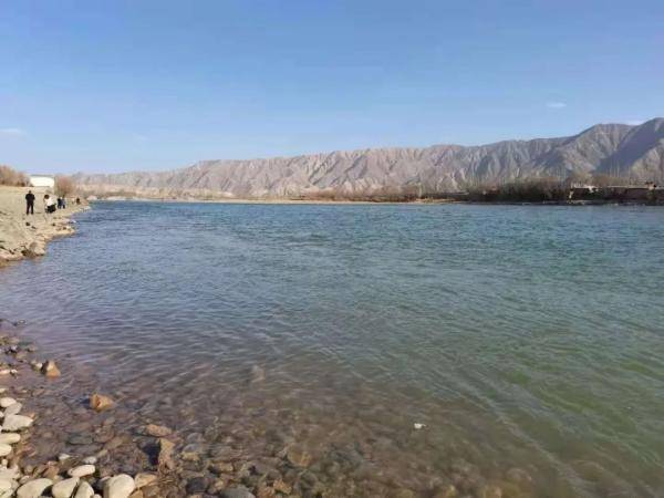 水川湿地公园：早春芦花别样美