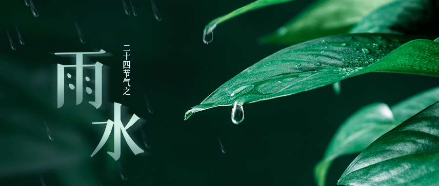 生立春后继之雨水且东风既解冻则散而为雨矣都说"春雨贵如油"雨水节气