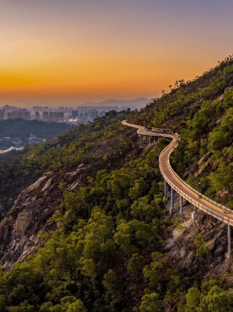 警惕景山道有这种牛出没