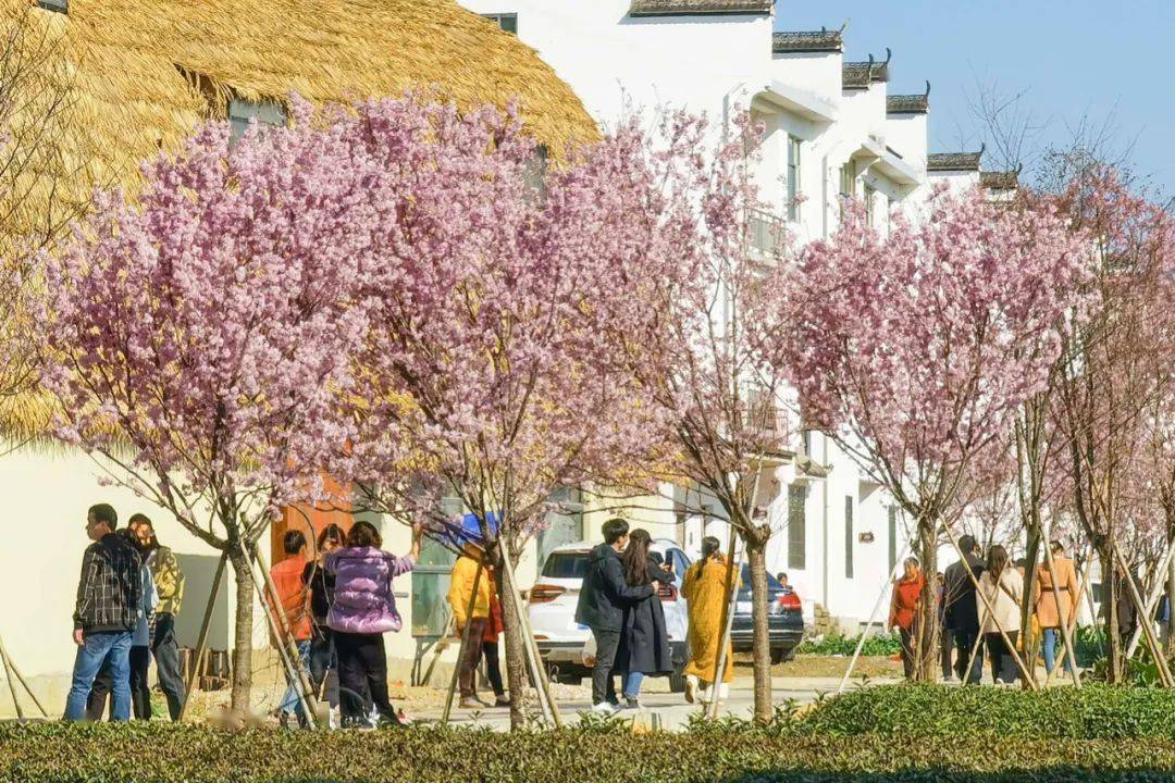 婺源这个村火了._石门村
