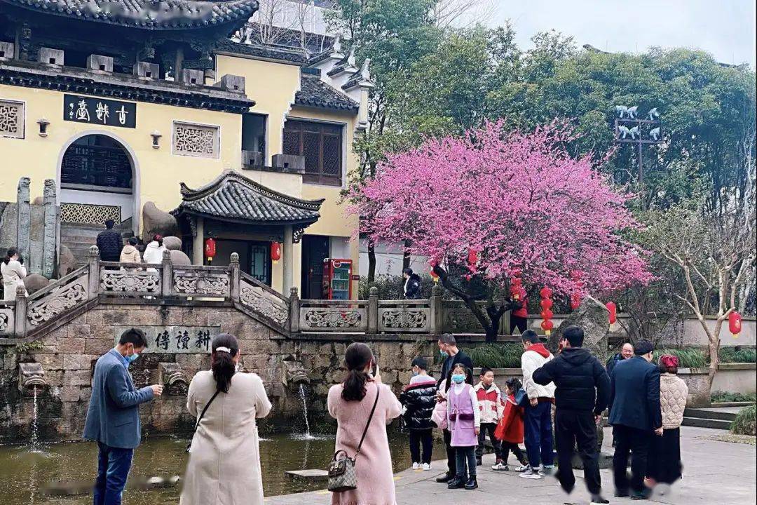 诸暨人口有多少2021_2021年诸暨最新规划图