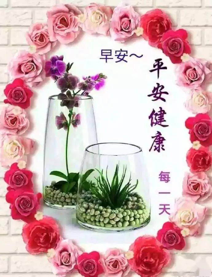 大家早上好早上好的短句子早上好问候专辑