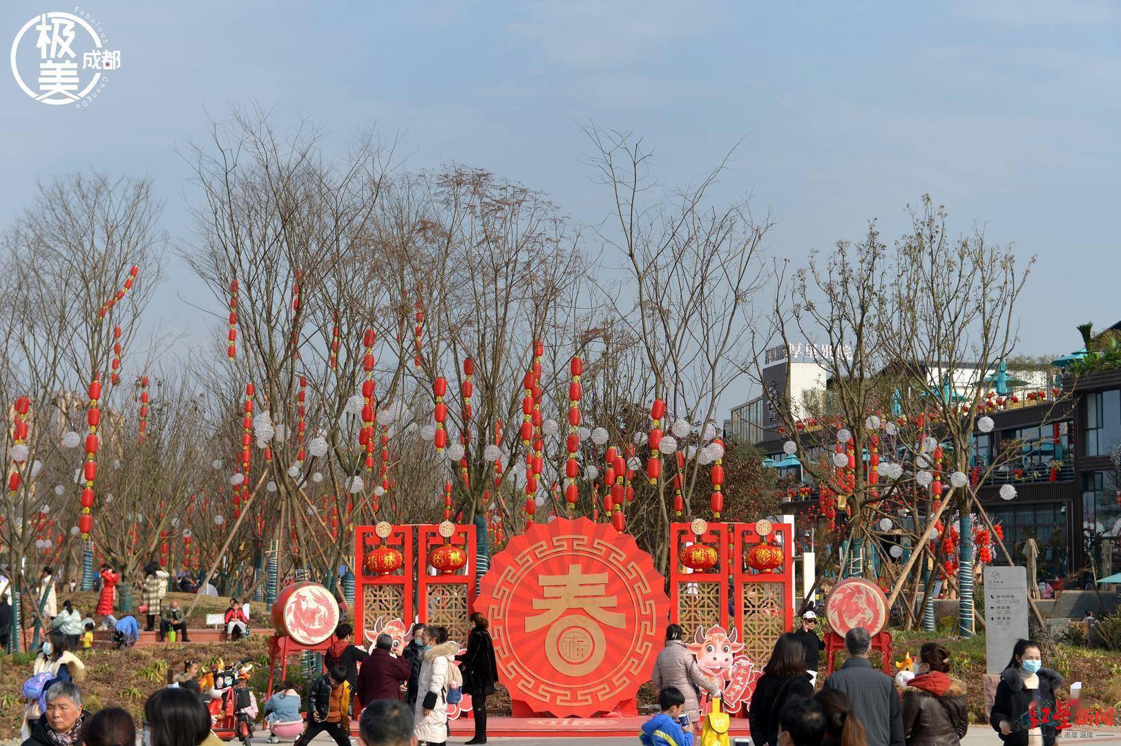 285.53亿元！春节各地文旅数据出炉，四川旅游总收入居全国第一
