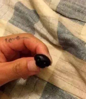 起床踩到一顆帶血的眼球，主人差點被嚇暈過去，仔細一看哭笑不得… 萌趣萌寵 第4张