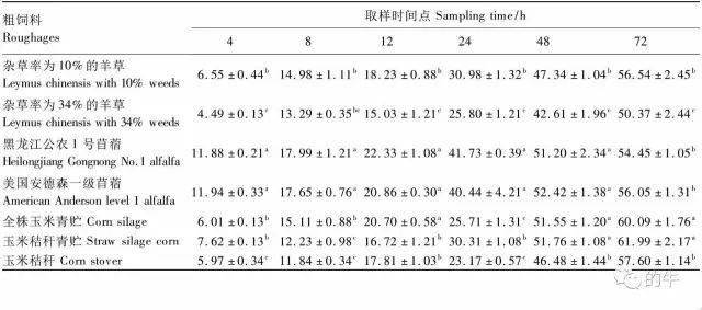 玉米简谱_玉米男孩