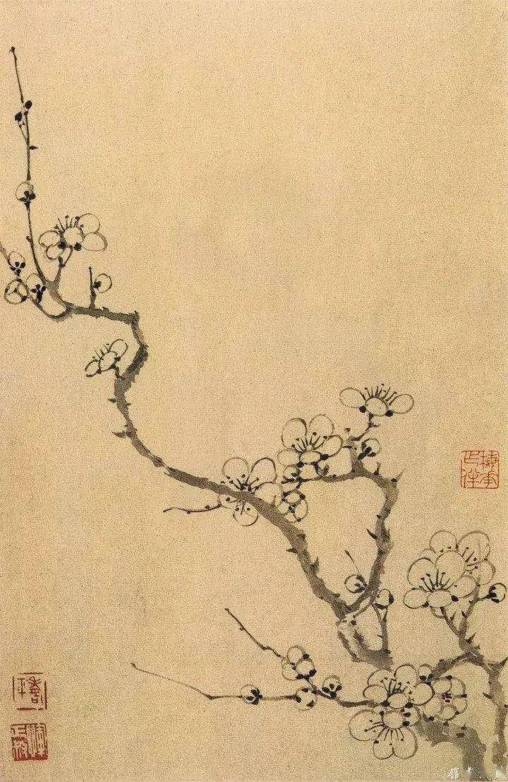 恽寿平没骨花鸟画精品欣赏