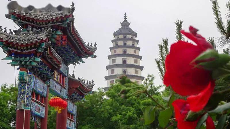 定州市人口多少2021_2021新年快乐图片