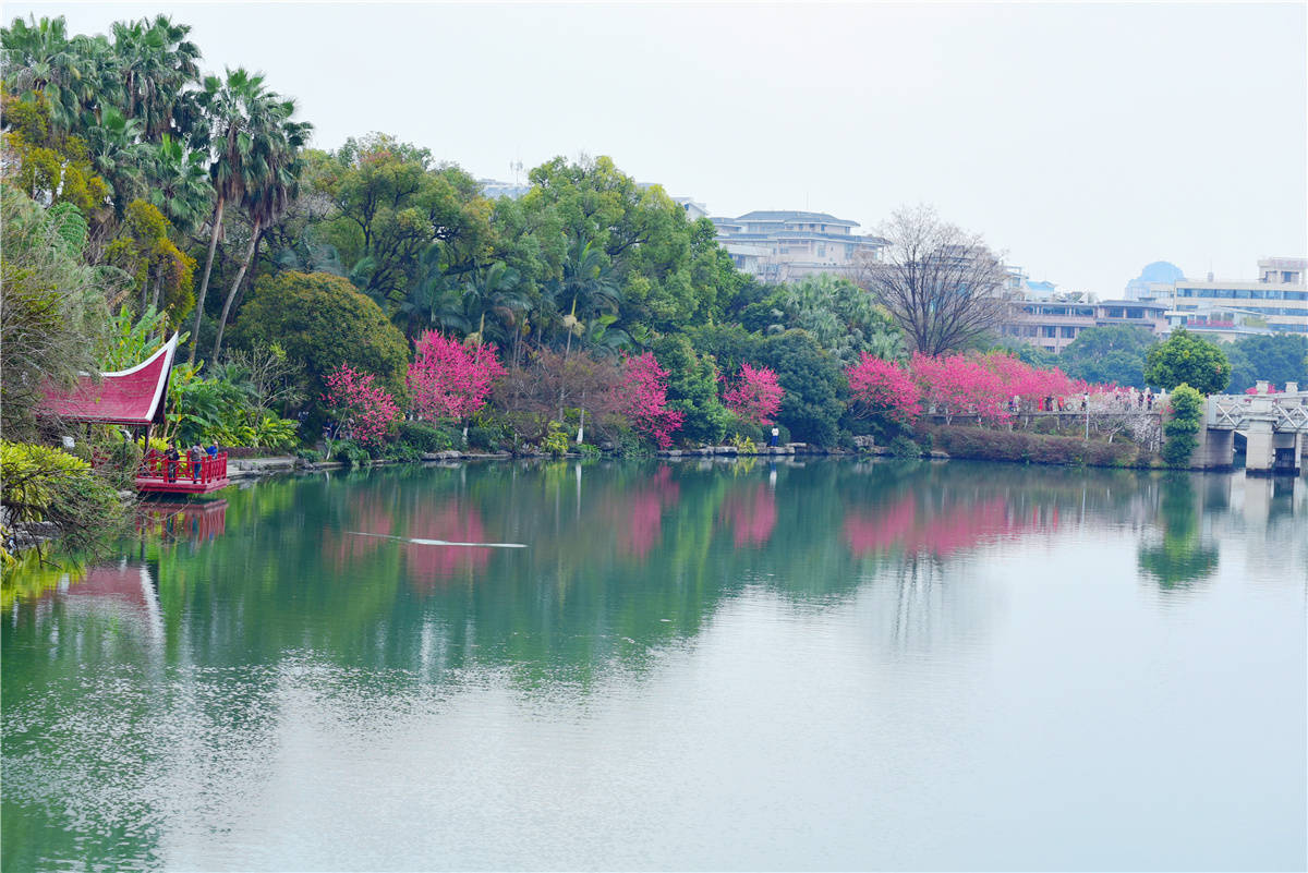 桂林榕湖：春水碧于天 胜过桃花源!