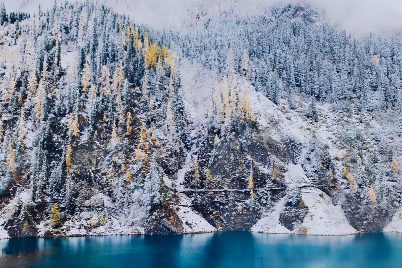 都說秋天要去九寨溝看彩色世界,其實冬天的雪景