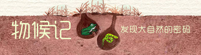 观测|物候记·立春｜春回万物生