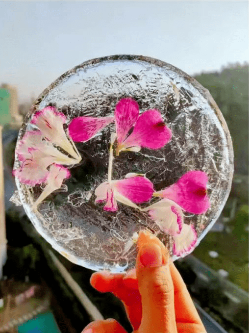 一朵朵美丽的冰花里藏着孩子们的创意和想象,孩子们肆意徜徉在有趣的