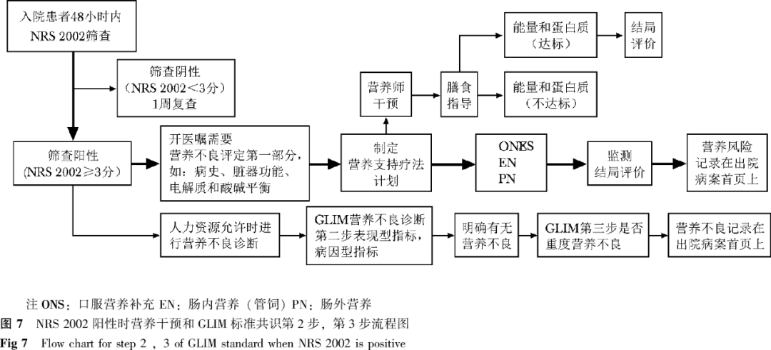 三枪内衣加盟流程_内衣美女(2)