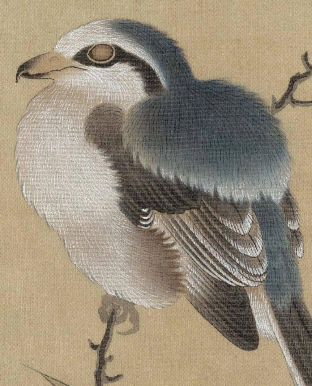 历代名画解析跟着金纳临摹竹鸠图