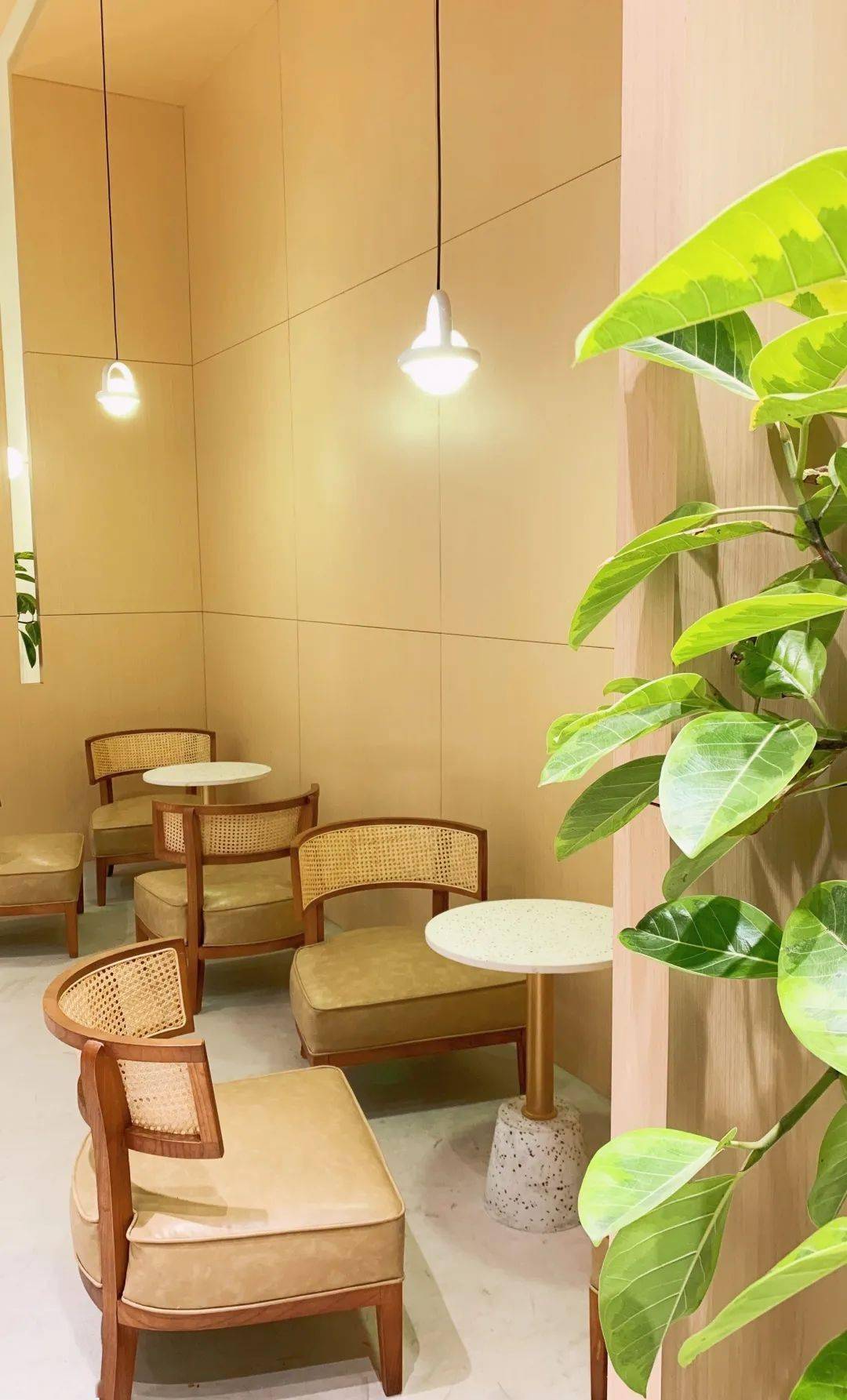 打卡中南路新晋网红甜品店自带ins滤镜颜值高的人才敢来