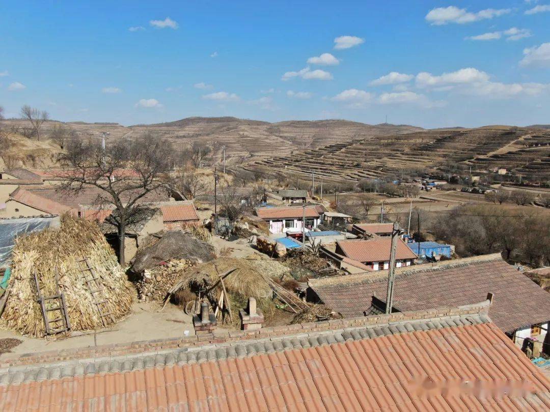 春日里的农村风情组图