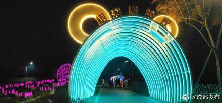 新都芳华桂城微马公园夜间版“上线”