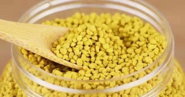 了解蜂花粉的功效及用法 真厉害 疾病