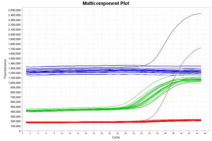 熒光定量pcr異常擴增曲線分析方法攻略