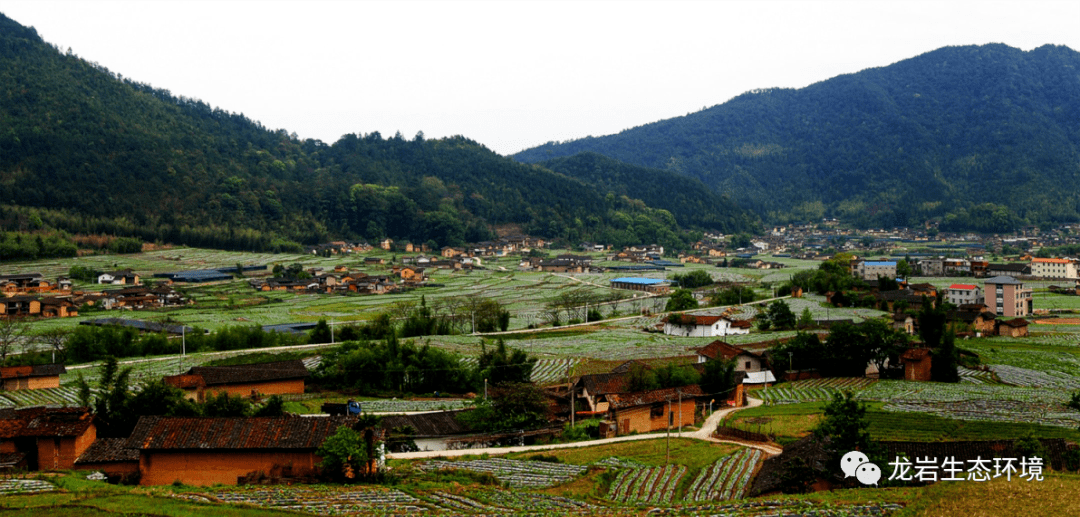 ​绿盈乡村 | 龙岩漳平市赤水镇香寮村:这个新兴的生态旅游度假村