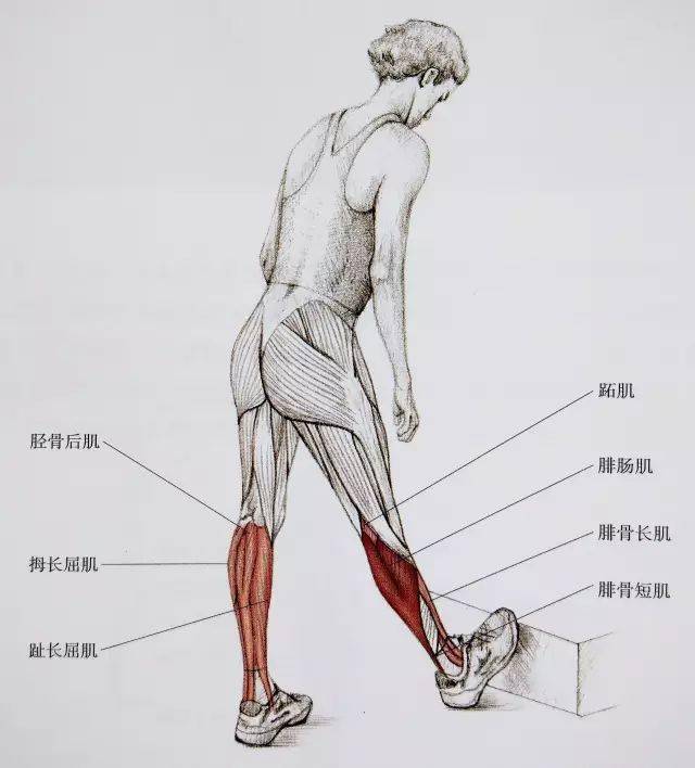 经典21点平台