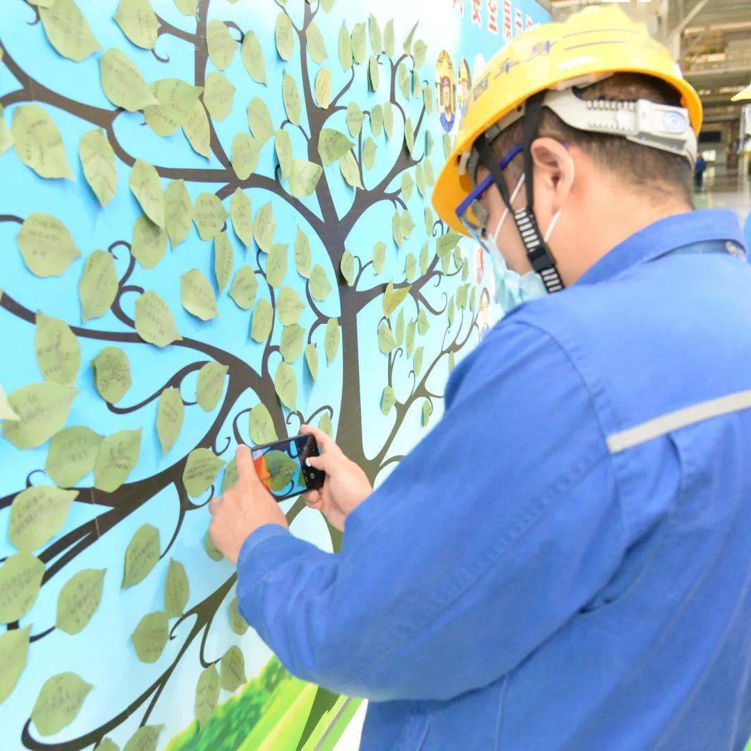 共植安全之树同乘幸福荫凉