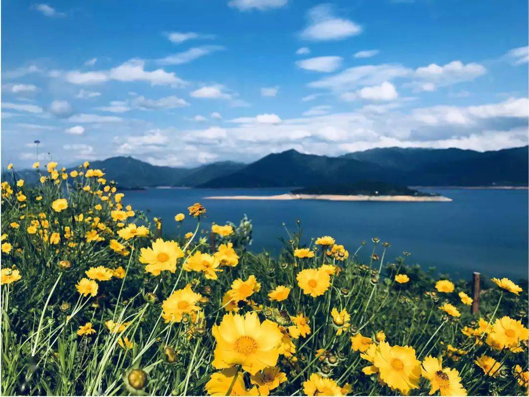 3月06日郴州东江湖最美段白廊大东江飞天山凤凰岛二日游超惠价368元人