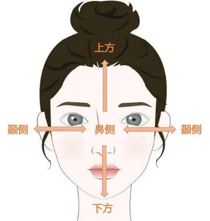 科普只有认识眼球才能更好的保护视力