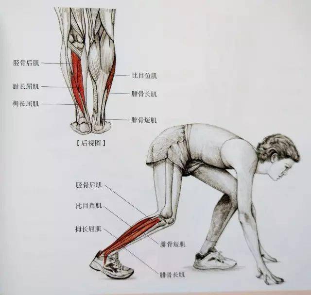 经典21点平台