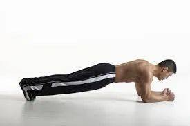 平板支撑的正确动作视频 49959580e033407c868e30f3793c4e1c.jpeg