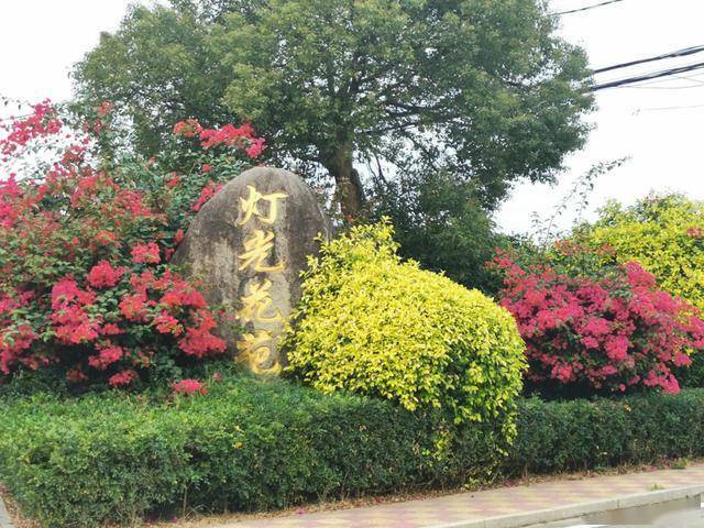 绿盈乡村 泉州市南安市梅山镇灯光村:智慧,绿色,宜居,富裕