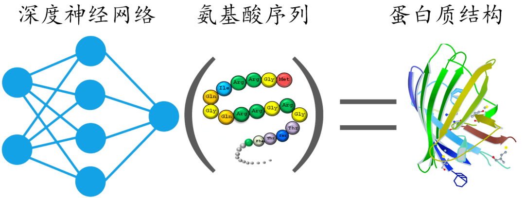 会预测蛋白结构的ai，还要教我们设计新蛋白序列 