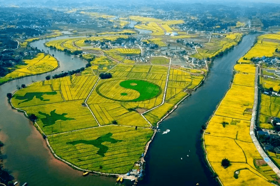 铜梁油菜花图片