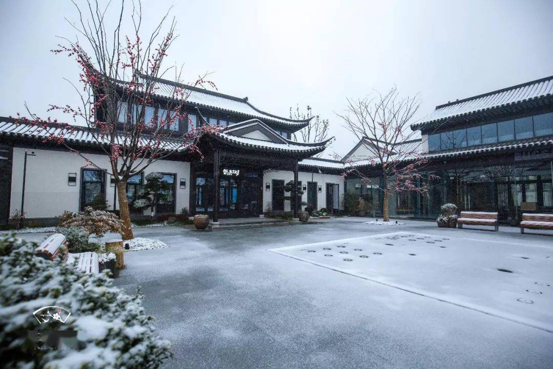 宋卫平的桃李春风小镇让理想照进现实