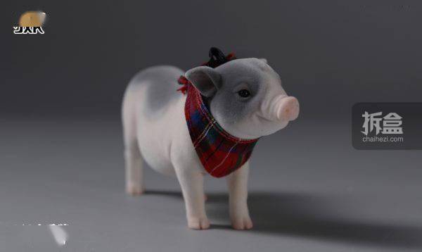 jxk.studio 小香猪 迷你猪 仿真动物模型摆件gk雕像手办