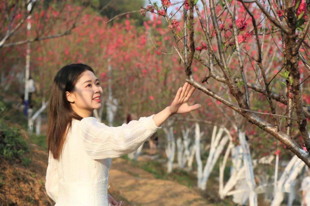 好靓女公园桃花图片