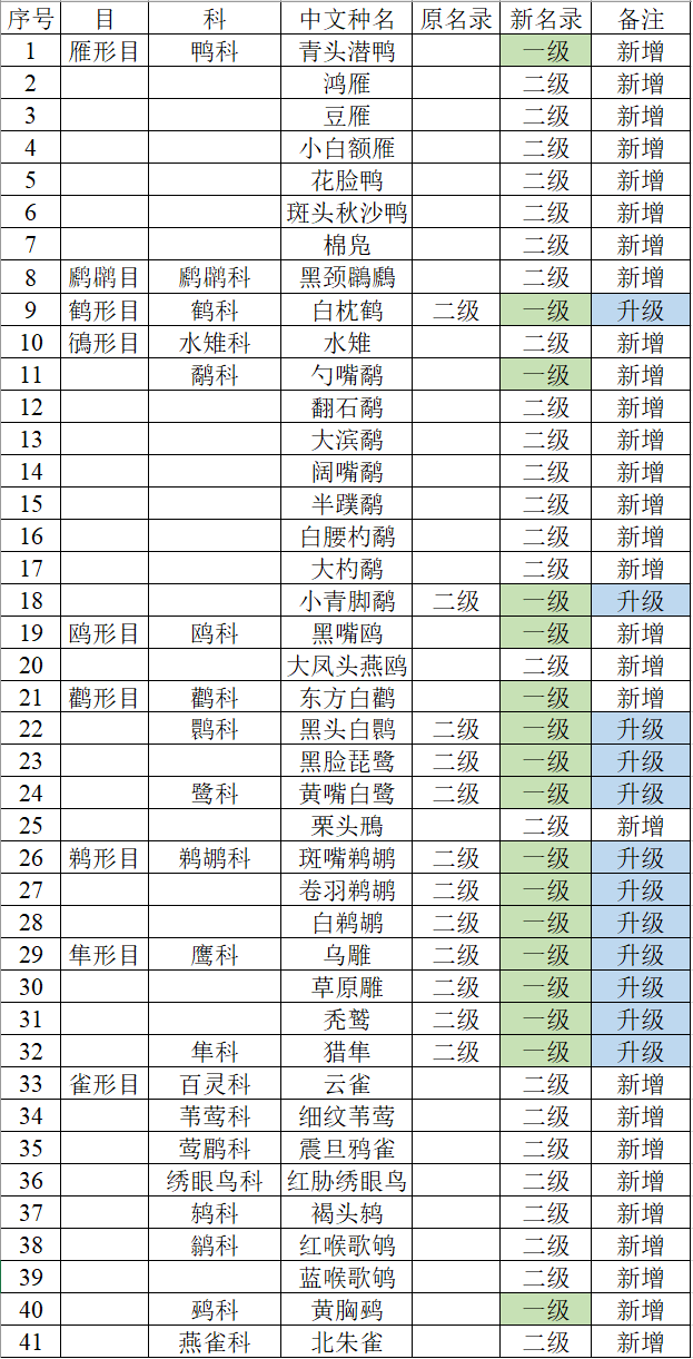 国家二级保护鸟类名单图片